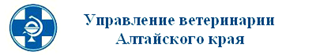 управление.png